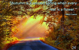 i24 Autumn quotes Autumn is a second spring