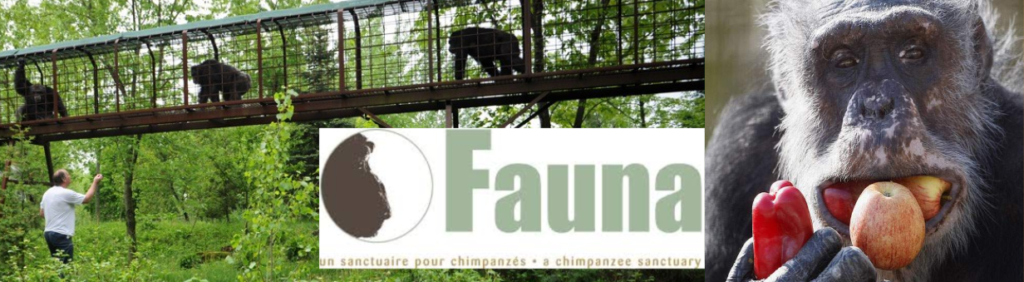 La Fondation Fauna 