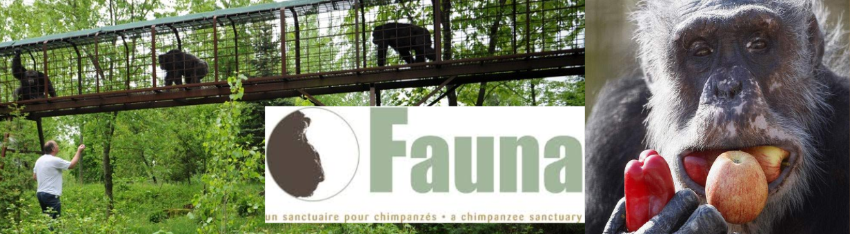 The Fauna Foundation