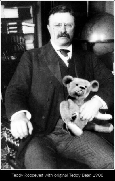 Teddy Roosevelt Bear