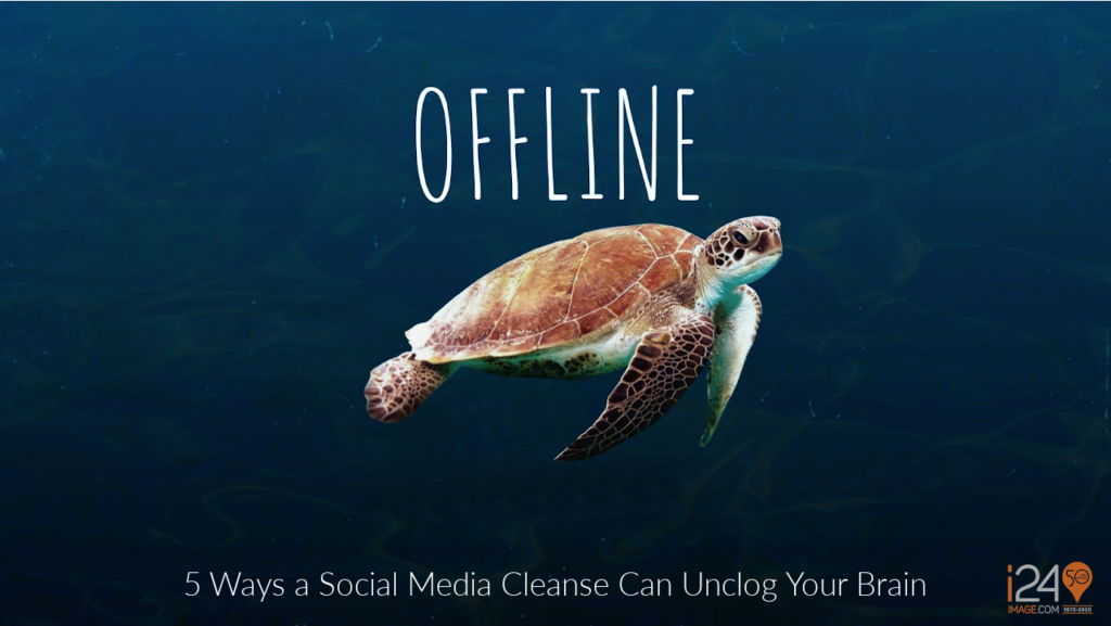 5 Ways a Social Media Cleanse Can Unclog Your Brain
