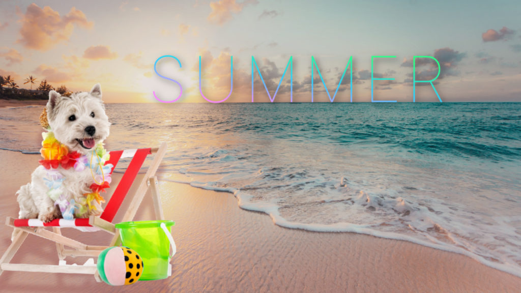 GARY’S JULY GEMS - The Summer Holiday Issue