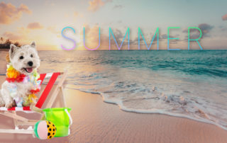 GARY’S JULY GEMS - The Summer Holiday Issue