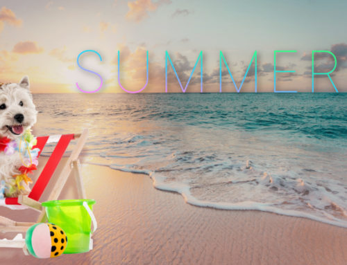GARY’S JULY GEMS – The Summer Holiday Issue